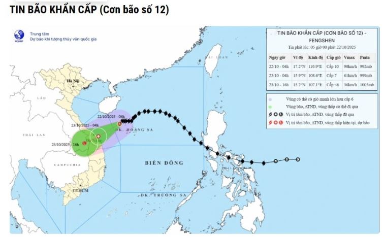Đắk Lắk triển khai phương án ứng phó với cơn bão số 12 và mưa lũ trên địa bàn